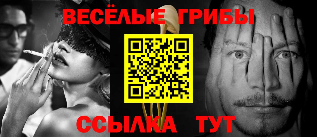 Псилоцибиновые грибы прущие грибы Саров
