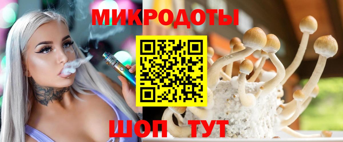 Саров  Галлюциногенные грибы мухоморы  Вход с VPN 